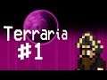DEFEATING KING SLIME! | Terraria Vanilla Gameplay #1