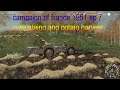 farming simulator 19 campaign of france ep 7