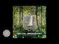 Mental Broadcast & Labirinto - Data Conversion