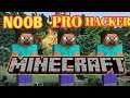 Minecraft Noob vs Pro vs Hacker