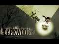NÃO TENHO PAZ! | Darkwood #32