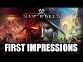 New World - First Impressions - PC BETA