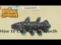 Animal Crossing: New Horizons - How to Catch a Coelacanth
