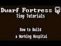 Dwarf Fortress Tiny Tutorials: How to Build a Working Hospital