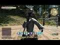 Final Fantasy XIV FFXIV WHM White Mage Ireland Eire The Black Shroud New Gridania The Knot 29.08.18