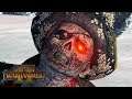 POWDER ADDICT - Vampire Coast vs Dark Elves // Total War: Warhammer II Online Battle