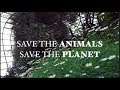 Save The Animals | Save The Planet