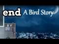 Splashing Across Puddles With My Bird | A Bird Story Gameplay Part 2 (Final)