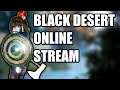 Black Desert Online Guardian