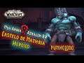 Heroico Punholodo - Castelo de Nathria(8/10 HC) - Guild Nyx Anima | Azralon BR