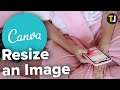 How to Resize an Image in Canva