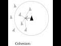 OpenGL Flocking Algorithm Cohesian Rule Simple Modification