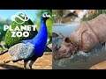 Planet Zoo - PAVÕES e RINOCERONTES vivendo juntos