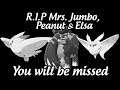 RIP Mrs. Jumbo, Peanut & Elsa (AKA Death By Legendary) - Pokemon Shield Pimmsylocke Death Highlight