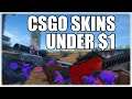 The Best CS:GO Skins for Under $1 (CSGO Investment 2020)
