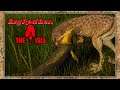 Utahraptor on the Hunt! | The Isle | Evrima