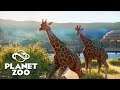 Building the BIGGEST & BEST Zoo on EARTH! | Planet Zoo Building Management Tycoon Beta Gameplay