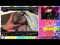 Daily Dose Of Internet | The Best Of The Internet (2020) | fOnzee & chat REACTION