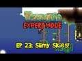 Ep 23: SLIMY SKIES! Terraria EXPERT MODE Let's Play/Playthrough (1.3 PC Gameplay, 2019)