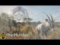 NEW Clue Talk and Africa Hunt in theHunter Call of the Wild