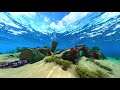 Subnautica - Safe Shallows Ambiance (underwater, fish, ocean sounds)