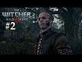 The Witcher 3: Blood And Wine Longplay - New Game+ Walkthrough Part 2: Meeting Regis