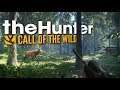 TheHunter - Call Of The Wild / #3 / Hirschfelden / Misión Principal.