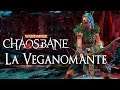 Warhammer Chaosbane Builds:  La Veganomante - Elfa Silvana
