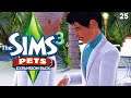 BEACH WEDDING 🎩💍// Sims 3 PETS [PART 25]