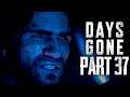Days Gone - THEY WILL NEVER STOP - Walkthrough Gameplay Part 37