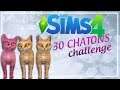 Le trio gagnant ! #9 - 30 CHATONS CHALLENGE