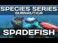 Subnautica: Spadefish (Species Series)