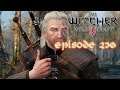 The Witcher 3: Wild Hunt #230 - Tränke brau'n, Monster verhau'n, Elfen versau'n
