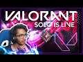 Valorant Live | 19 Hours Stream | Stream Crashed In Between