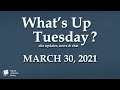 What's Up Tuesday? Delisted News & Site Updates for March 30th, 2021