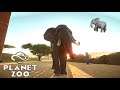AUF DER FLUCHT #13 PLANET ZOO - Let's Play Planet Zoo