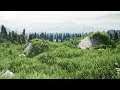 Forest Environment - Unreal Engine 4