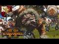 How Many Skin Wolves Do You Want? YES. Empire Vs Norsca. Total War Warhammer 2, Multiplayer