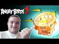 LIVE - ANGRY BIRDS 2 (#3) / ARENA