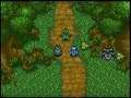 Pokémon Mystery Dungeon: Explorers of Sky Playthrough 27: Tree-Shrouded Time Gear