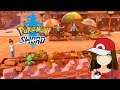 Pokemon Sword - Stow-On-Side Episode 30