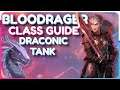 Primalist BLOODRAGER Class Build Guide - Pathfinder Wrath of the Righteous