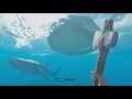 Stranded Deep ~Solo~ Day 13 ~No Com
