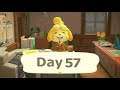 Animal Crossing New Horizons Day 57 Crown Giveaway