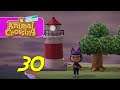Animal Crossing: New Horizons - Let's Play Ep 30 - INFRASTRUCTURE