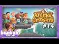 LE CAMPING ! / ANIMAL CROSSING : NEW HORIZONS / LET'S PLAY #14