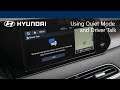 Quiet Mode and Driver Talk Explained |  Hyundai