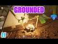 Shrunk to bug size in new survival game Grounded | Let's Play / Gameplay | E1