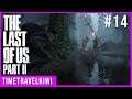 The Last of Us Part II: Playthrough Part 14