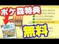 【無料】ポケ森特典のスペシャルアイテムの入手方法 あつまれどうぶつの森